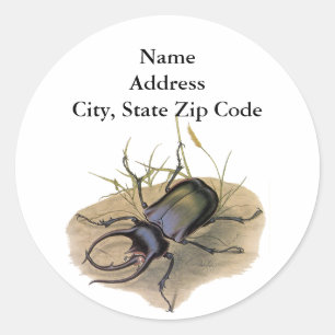 Adesivo Redondo Insetos do vintage e insetos, besouro de