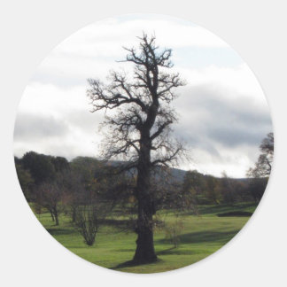 Adesivo Redondo Inverno