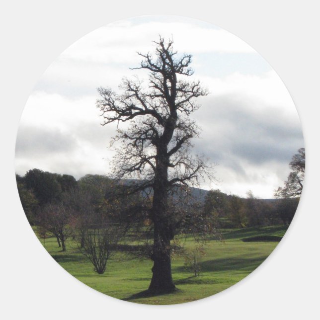 Adesivo Redondo Inverno (Frente)