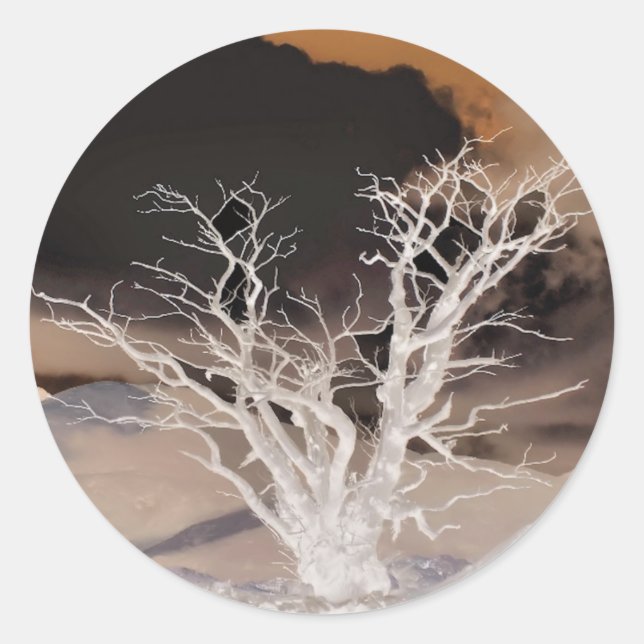 ADESIVO REDONDO INVERNO DE MONTANHA (Frente)