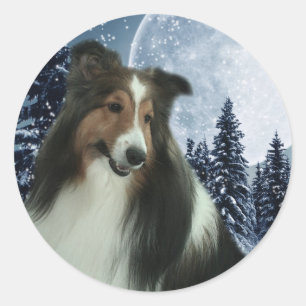 Adesivo Redondo Inverno Sheltie Sticker