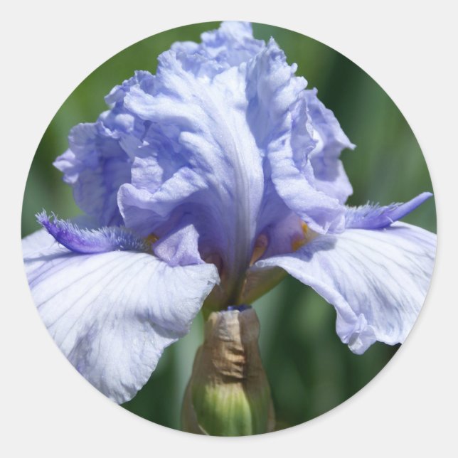 Adesivo Redondo Iris-azul (Frente)