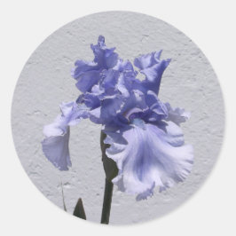 Adesivo Redondo Iris Bloom