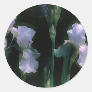 Adesivo Redondo Íris Brancas ao Luar em Flor