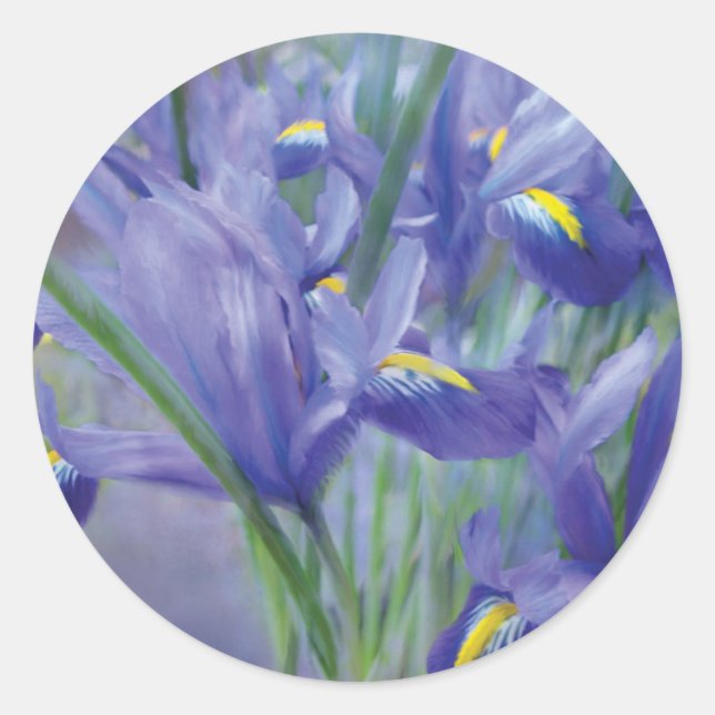 Adesivo Redondo Iris Buquê Art Sticker (Frente)