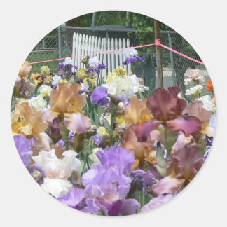 Adesivo Redondo Iris Garden