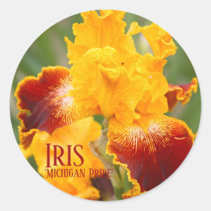 Adesivo Redondo Iris "Round Seal" ラ ウ ン ド ル