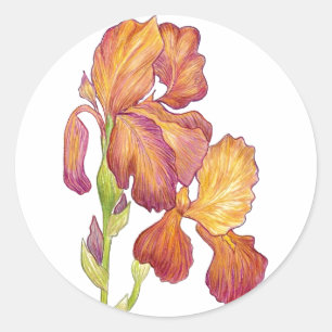 Adesivo Redondo Iris Sticker do Artista
