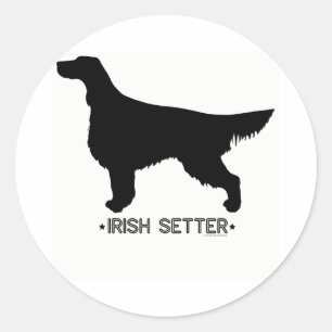 Adesivo Redondo Irish Setter Sticker