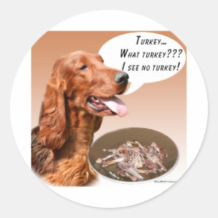 Adesivo Redondo Irish Setter Turkey