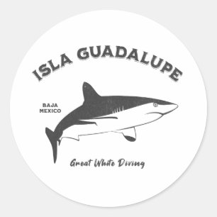 Adesivo Redondo Isla Guadalupe, Excelente de Tubarão Branco, em ap