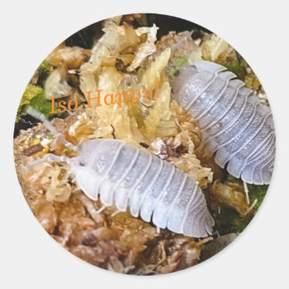 Adesivo Redondo Iso Happy Stickers