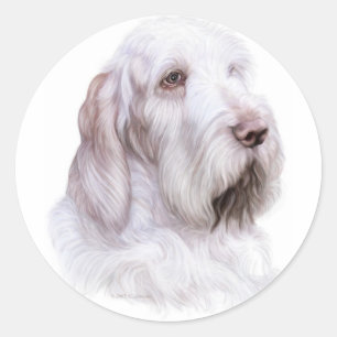 Adesivo Redondo Italiano Spinone Italiano