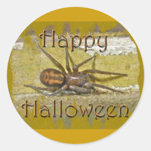Adesivo Redondo Itens de Coordenadas de Feriado do Spider Hallowee