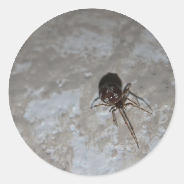 Adesivo Redondo Itsy Bitsy Spider #3 (Frente)