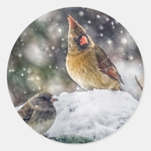 Adesivo Redondo I've obteve meu olho em você