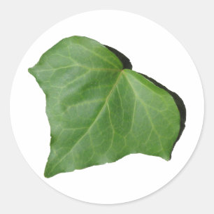 Adesivo Redondo Ivy Leaf
