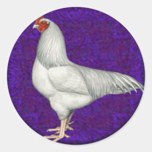 Adesivo Redondo Ixworth Rooster