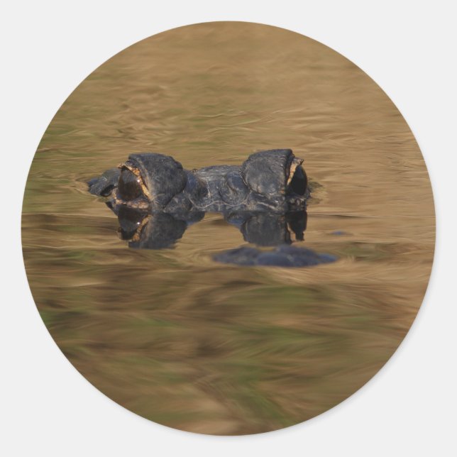 Adesivo Redondo jacaré (Frente)