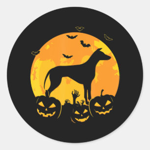 Adesivo Redondo Jack Greyhound Halloween Lanterna Pumpkin