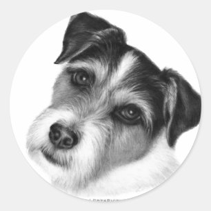 Adesivo Redondo Jack (Parson) Russell Terrier