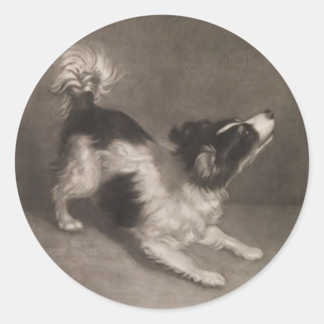 Adesivo Redondo Jack Russel Stickers (Frente)