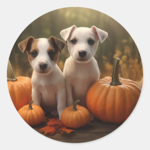 Adesivo Redondo Jack Russell Puppy Autumn Delight Pumpkin