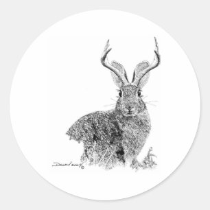 Adesivo Redondo Jackalope