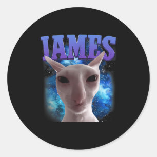 Adesivo Redondo James The Cat Meme Engraçado Bobo Gata Memória Bra