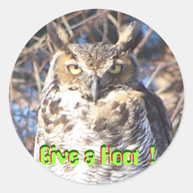 Adesivo Redondo jan112009 009, Dê um Hoot !, Dê um Hoot !, ... (Frente)