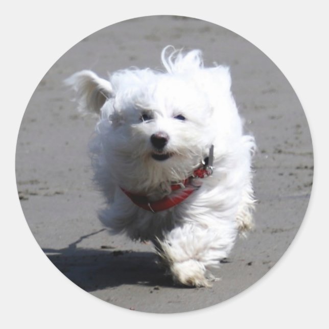 Adesivo Redondo Jan Sticker (Frente)