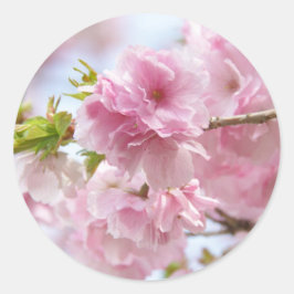 Adesivo Redondo Japanese cherry blossoms
