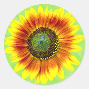 Adesivo Redondo Jardim amarelo do girassol e verde floral
