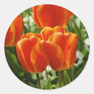 Adesivo Redondo Jardim de Tulipas da Primavera
