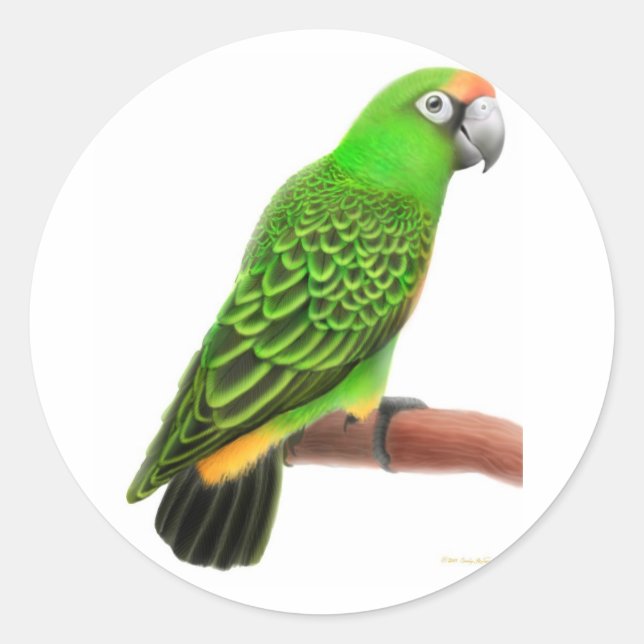 Adesivo Redondo Jardines Parrot Sticker (Frente)