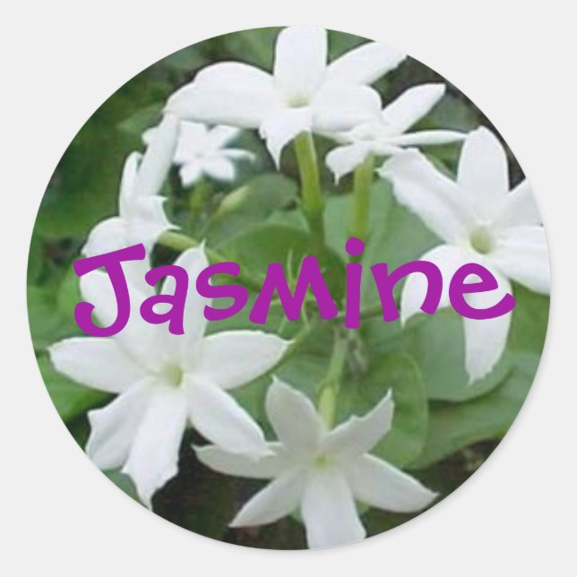 Adesivo Redondo Jasmine (Frente)