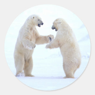 Adesivo Redondo Jogo do urso polar