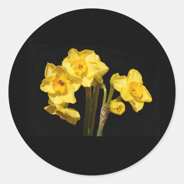 Adesivo Redondo Jonquil Flowers Stickers (Frente)
