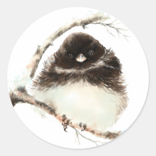 Adesivo Redondo Junco pequeno bonito, pássaro da natureza da