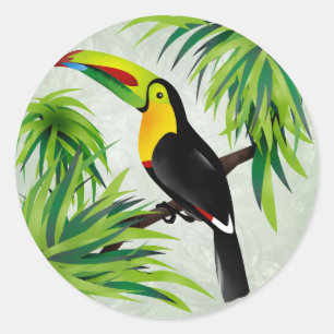 Adesivo Redondo Jungle Toucan