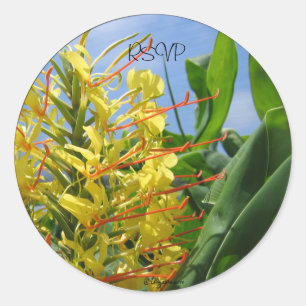 Adesivo Redondo Kahili Ginger Envelope Selos/ Stickers