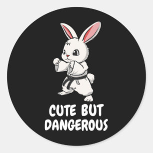 Adesivo Redondo Karate Bunny Cute Mas Artes Marciais Engraçadas Pe