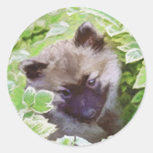Adesivo Redondo Keeshond Puppy na Pintura Original