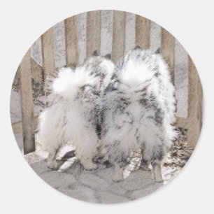 Adesivo Redondo Keeshonds na Pintura de Portão - Arte de Cachorro