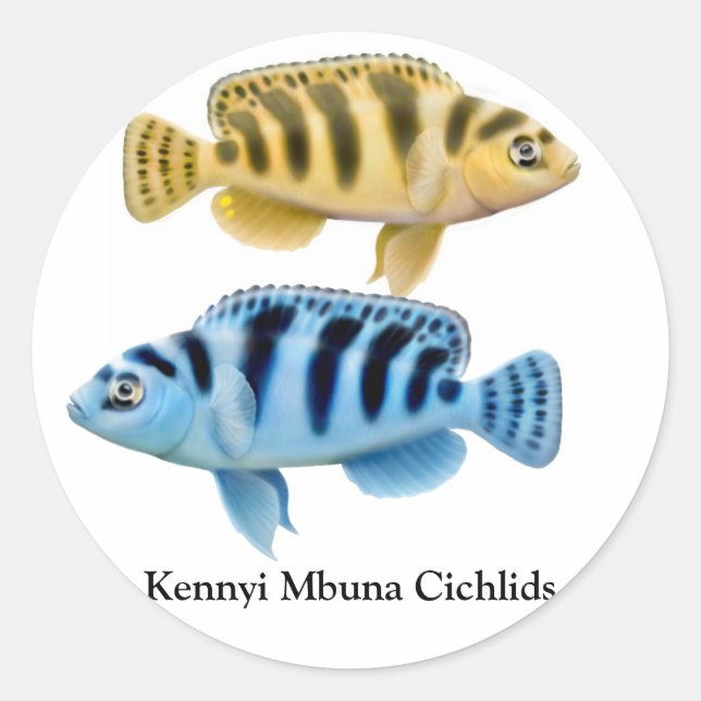 Adesivo Redondo Kennyi African Rift Lake Cichlids Sticker (Frente)