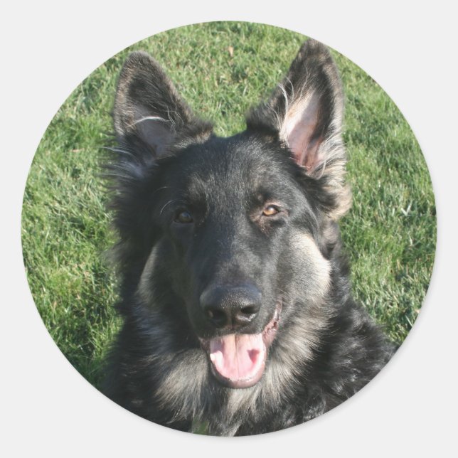 Adesivo Redondo Kepler (Frente)