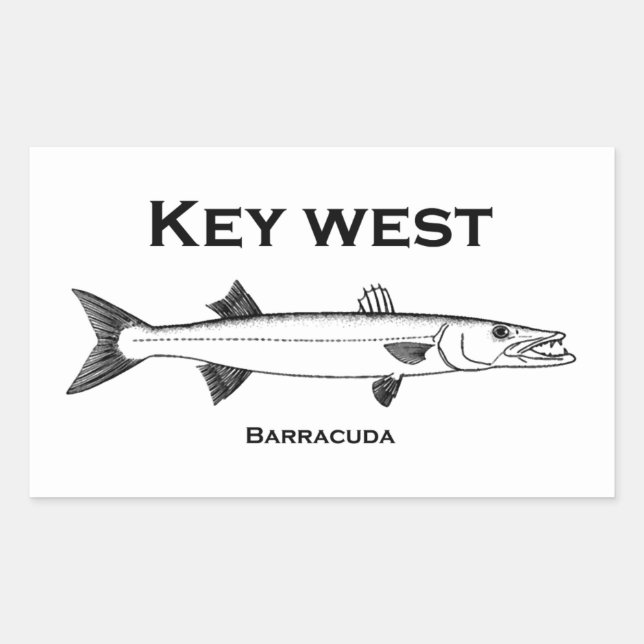 Adesivo Redondo Key West Barracuda (Frente)
