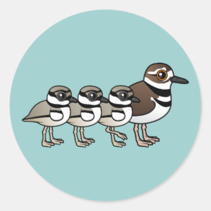 Adesivo Redondo Killdeer & três pintinhos