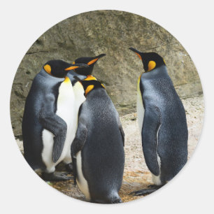 Adesivo Redondo King Penguin