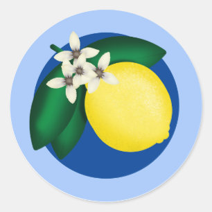 Adesivo Redondo KiniArt Lemon